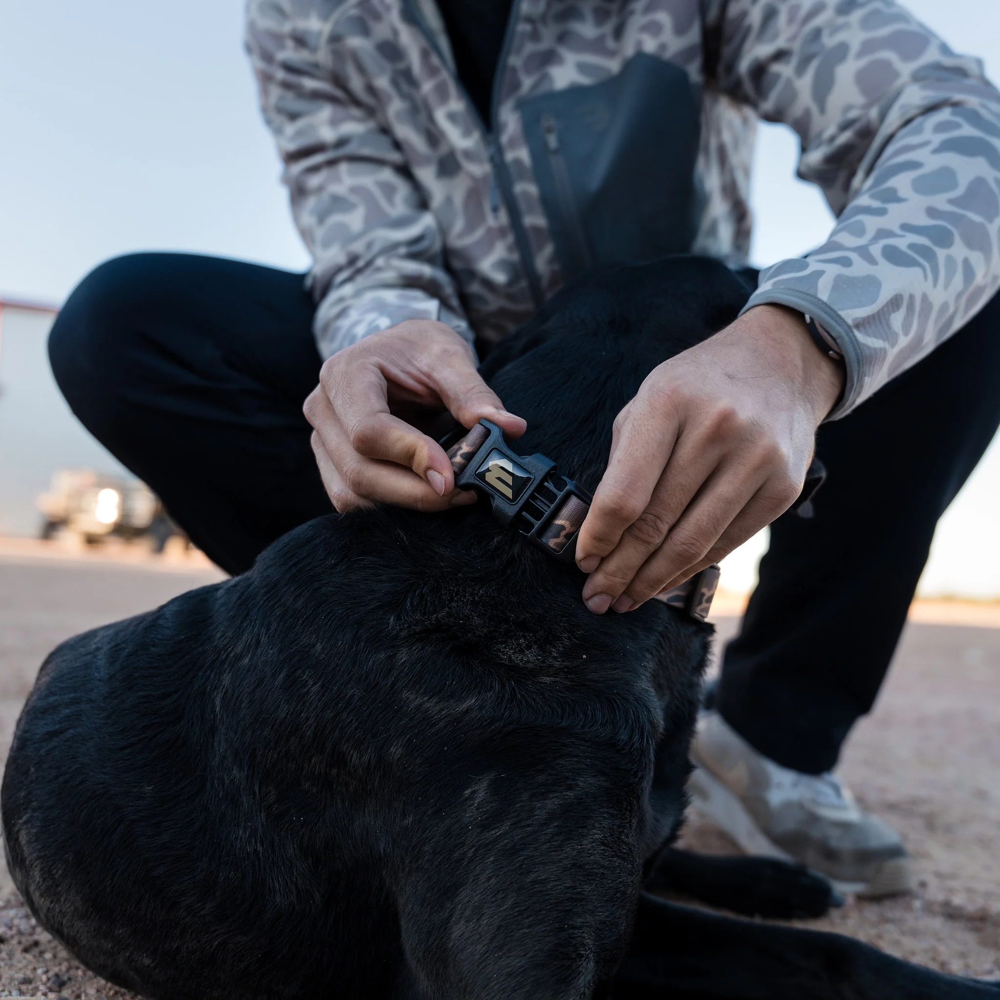 Dog Collar - Gauge Camo - Image 3