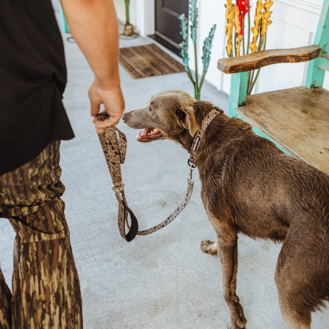 Dog Leash - Gauge Camo - Image 3